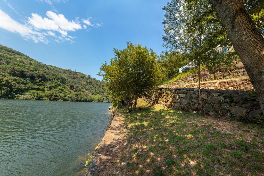 Douro Green Castelo de Paiva Exterior foto